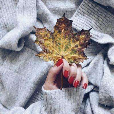 安博.体育app下载