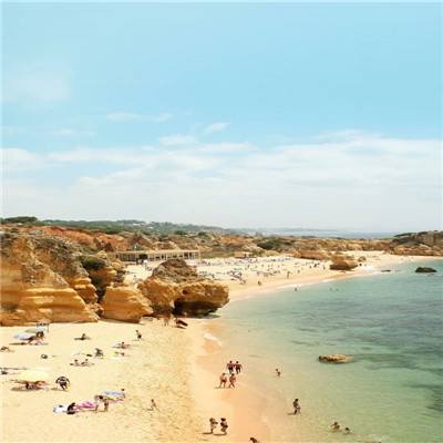 kok在线登陆官网